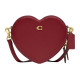COACH Crossbody 19