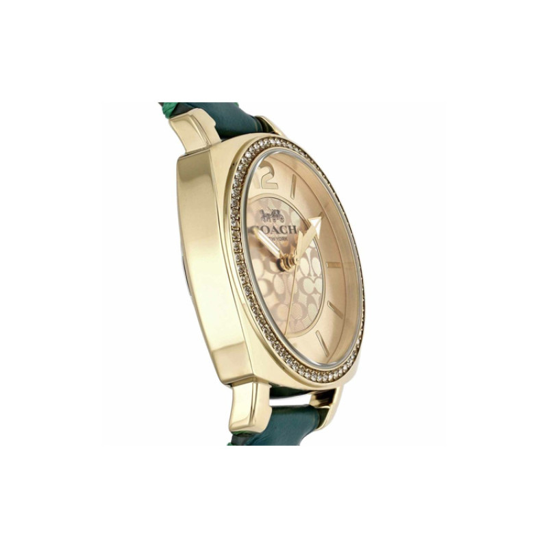 COACH 35mm 14503982