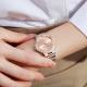 ROSSINI 50106