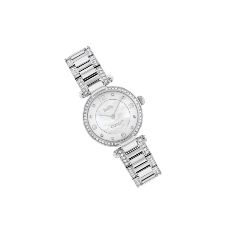 COACHCary Clogo 14503837