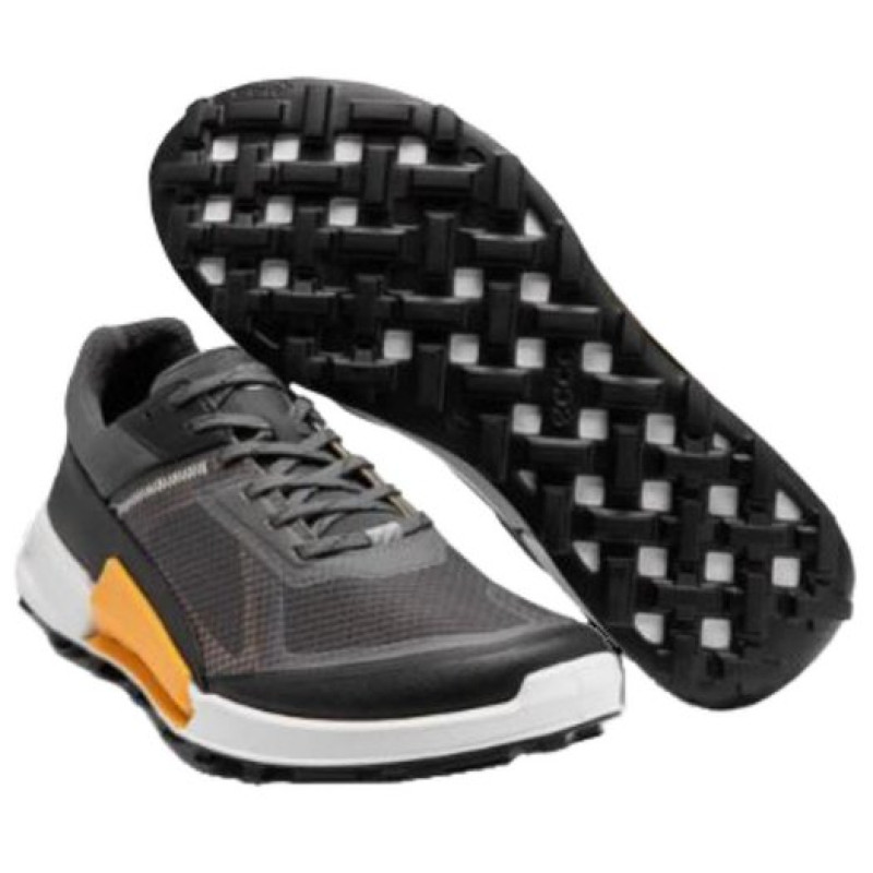 ecco BIOM2.1
