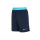 Nike Pro Flex Logo