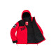 Supreme x THE NORTH FACE SS19 TNF