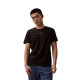CKCalvin Klein CK T