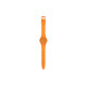 SWATCHSwatch Essentials 30 34mm