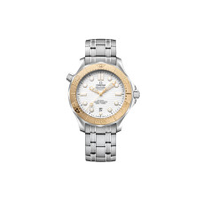 OMEGA 2024 18k 42mm 522.21.42.20.04.001
