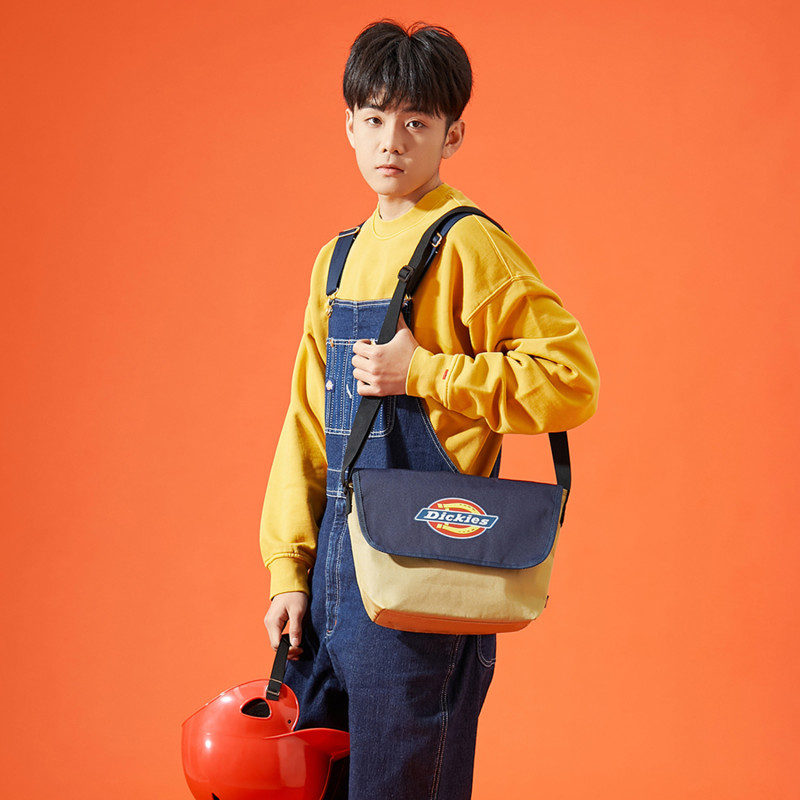 Dickies 100
