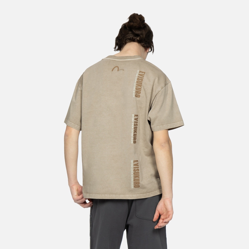 EVISU LogoT