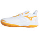 Mizuno Momentum wave 2