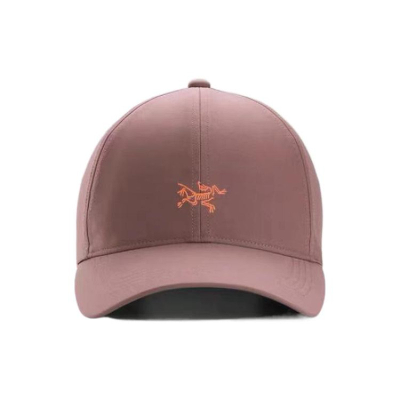 Arcteryx Logo