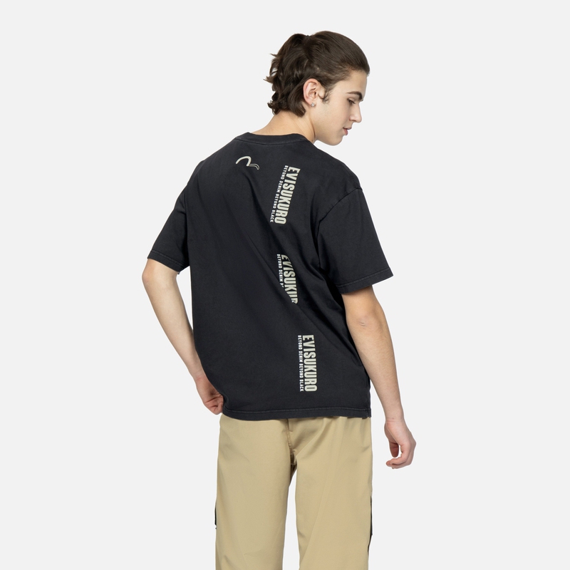 EVISU LogoT