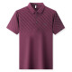 PIERRE CARDIN Polo