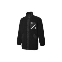 Puma Paisley logo