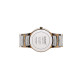 RADO 30 38mm R30554103