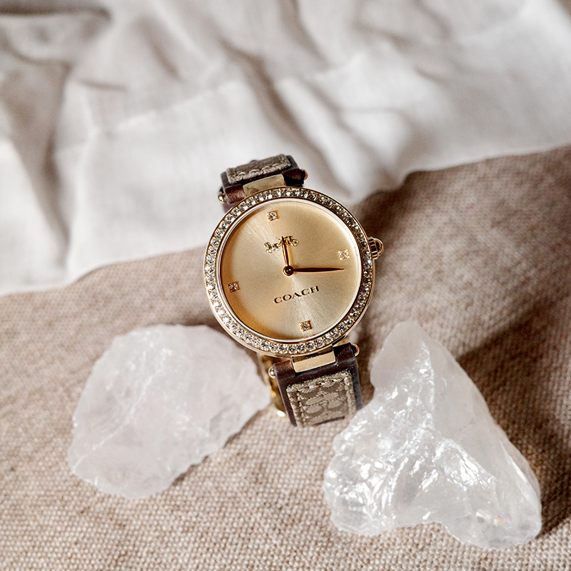 COACH Park 34mm C 14503456