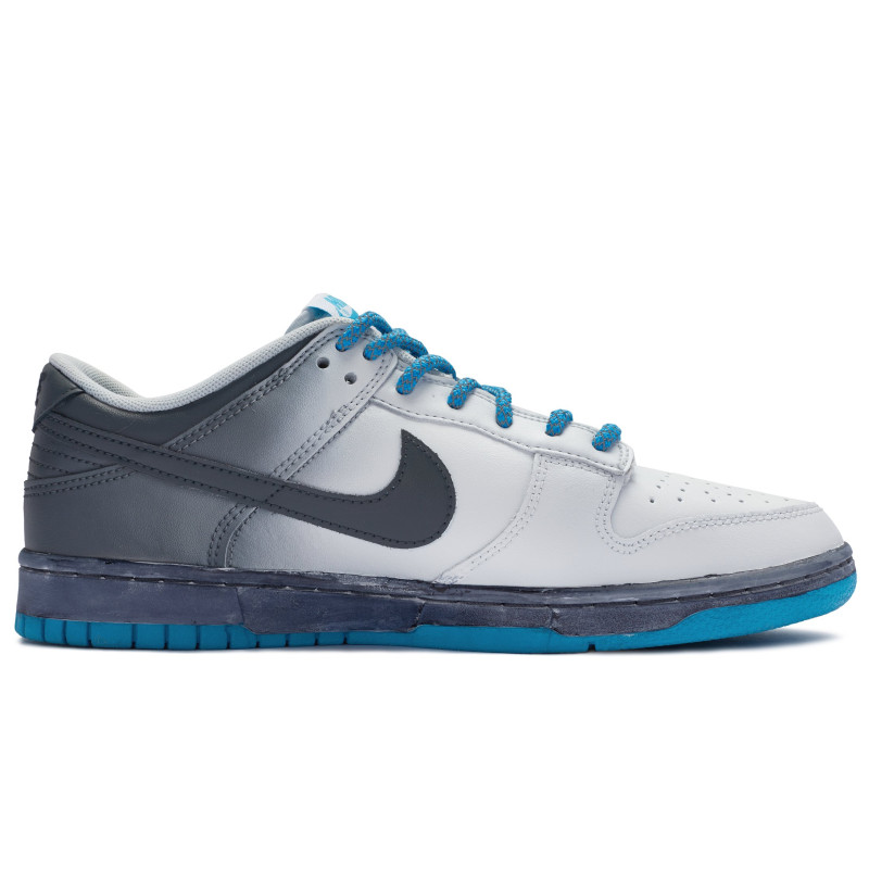 Nike Dunk Low 811