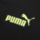 Puma BVB