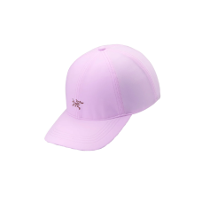Arcteryx Logo