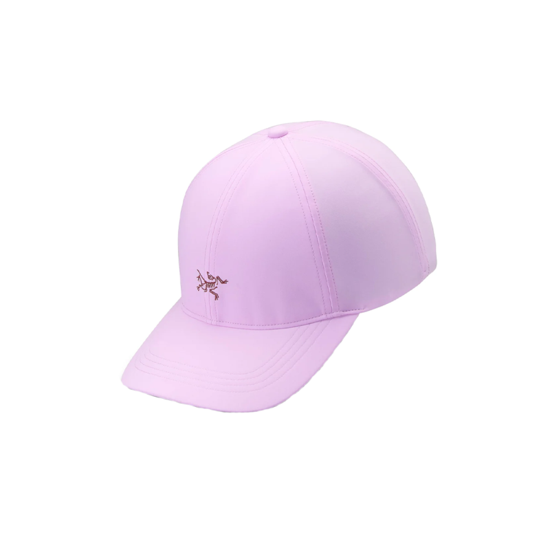 Arcteryx Logo