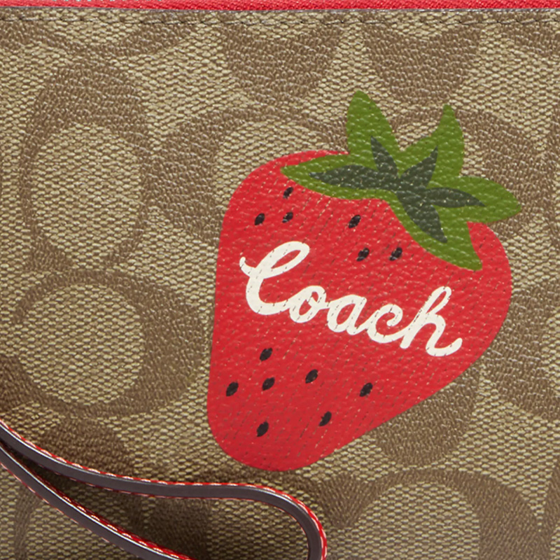 COACH Corner Zip 16