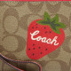 COACH Corner Zip 16