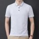 PIERRE CARDIN Polo