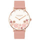 COACH Perry 36mm 14503770