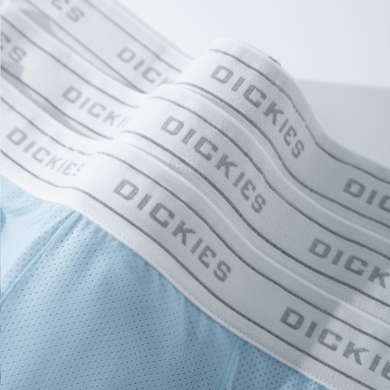 Dickies 3