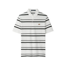 HLA POLO