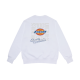 Dickies Logo