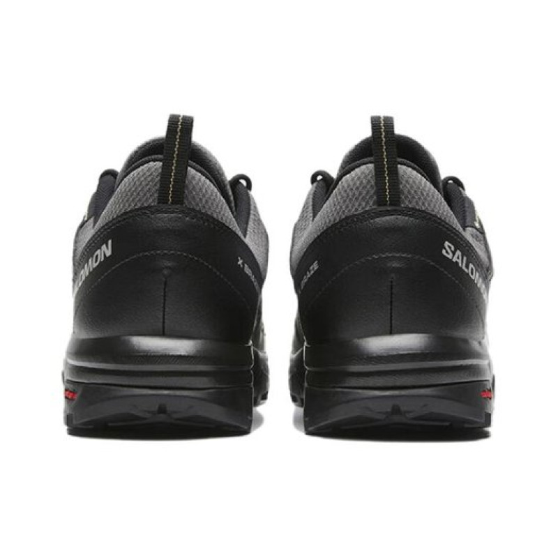 SALOMON X Braze GTX