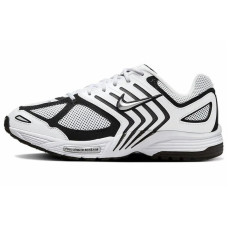 Nike Air Pegasus 2005