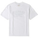 MLB T
