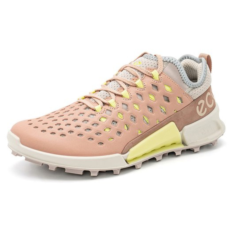 ecco 2.1