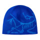 Arcteryx