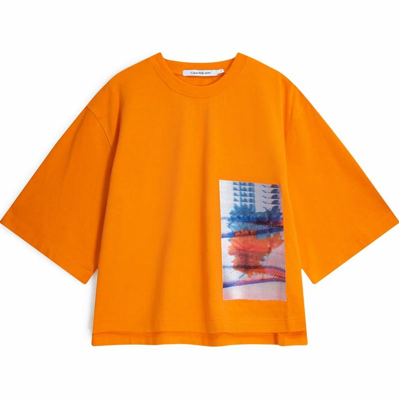 CKCalvin Klein T
