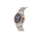 OMEGA 50 29mm K-Sedna 18K 131.25.29.20.53.002