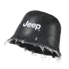 Jeep ins