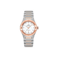 OMEGA 50 29mm 131.20.29.20.55.001