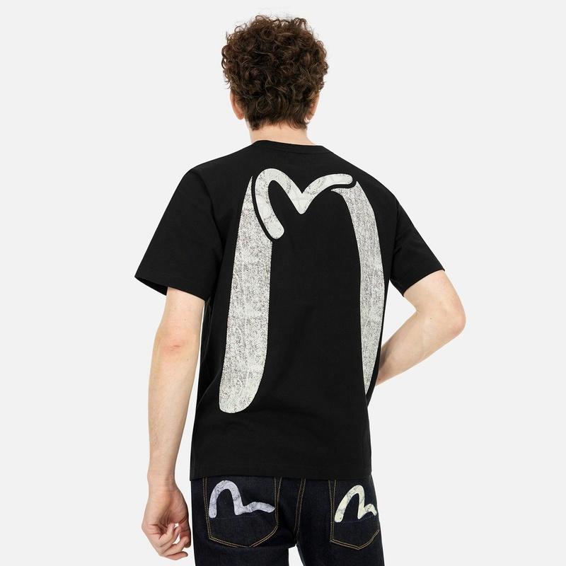 EVISU 2025 MT