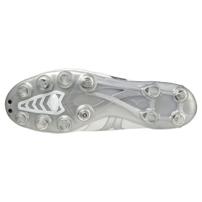 Mizuno Morelia