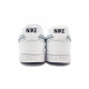 Nike Court Vision 1