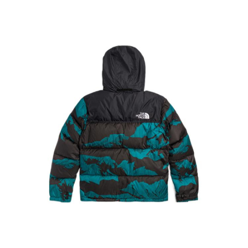 THE NORTH FACE FW22 1996 Retro Nuptse Jacket 700 Icon