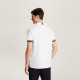 Tommy Hilfiger POLOPOLO