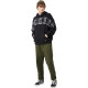 Dickies Logo