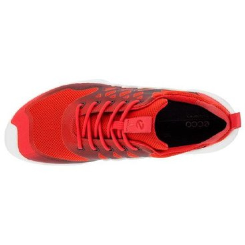 ecco BIOM AEX