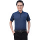 PIERRE CARDIN Polo