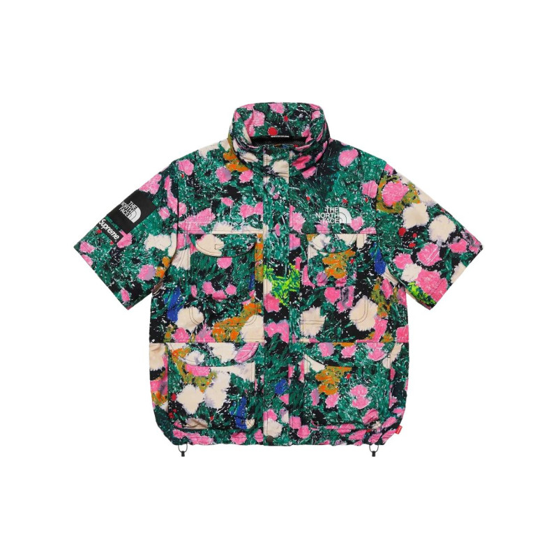 Supreme x THE NORTH FACE Logo