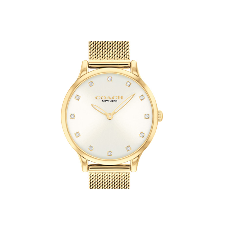 COACHCHELSEA 32mm 32mm