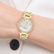 COACHCary 34mm 30
